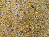 Allround, Basis Baits, Futter, Anfttern